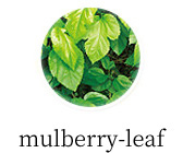 mulberry-leaf