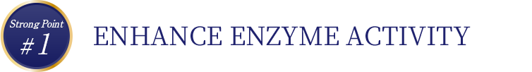 Strong Point #1 Enhances functions of enzymes