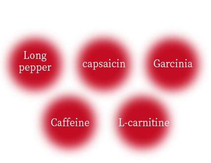Other fat-burning ingredients  Long pepper/capsaicin/Garcinia/Caffeine/L-carnitine