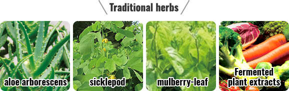Traditional herbs