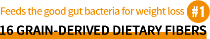 16 GRAIN-DERIVED DIETARY FIBERS