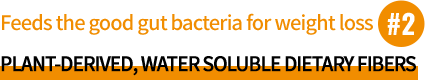 Plant-derived water-soluble dietary fibers.