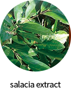 salacia extract