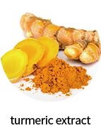 turmeric extract
