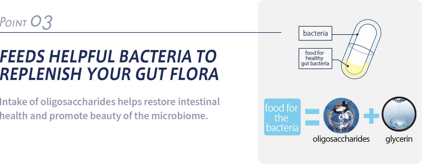 FEEDS HELPFUL BACTERIA TO REPLENISH YOUR GUT FLORA