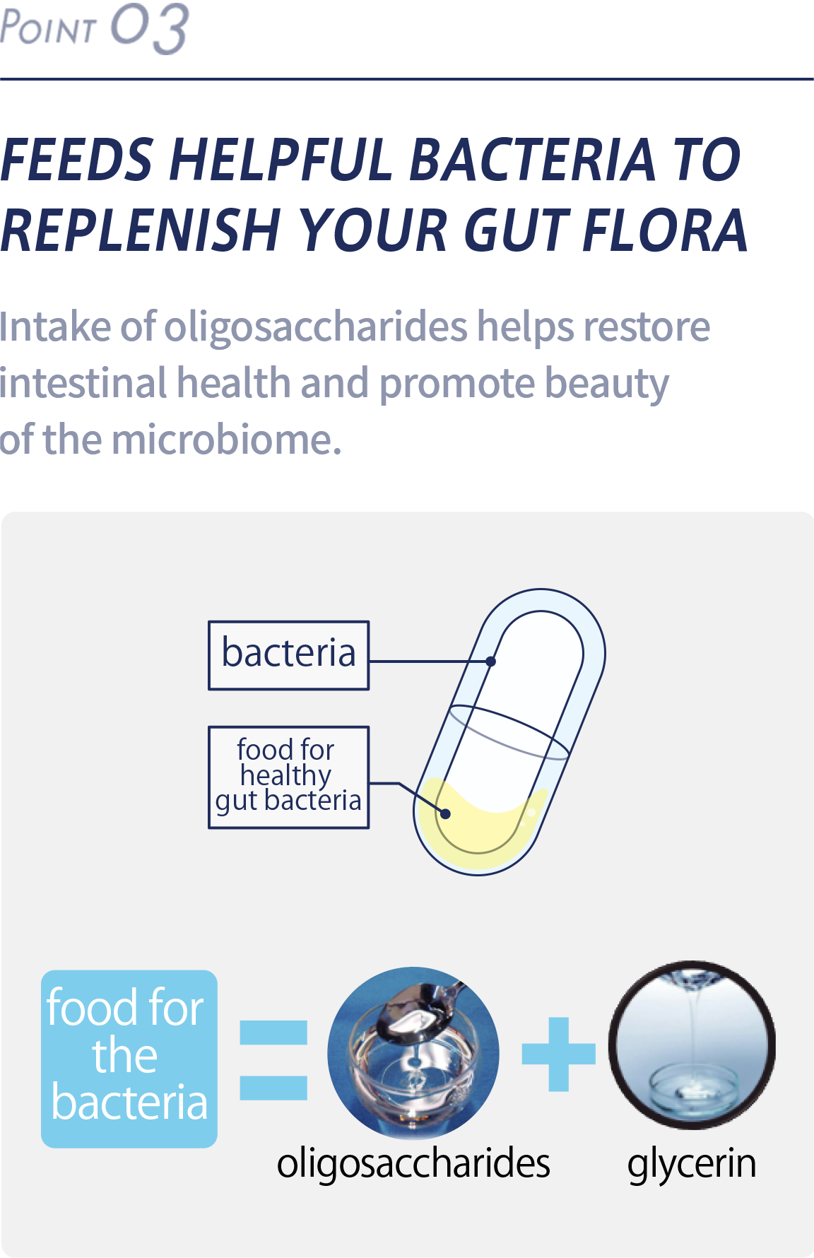 FEEDS HELPFUL BACTERIA TO REPLENISH YOUR GUT FLORA