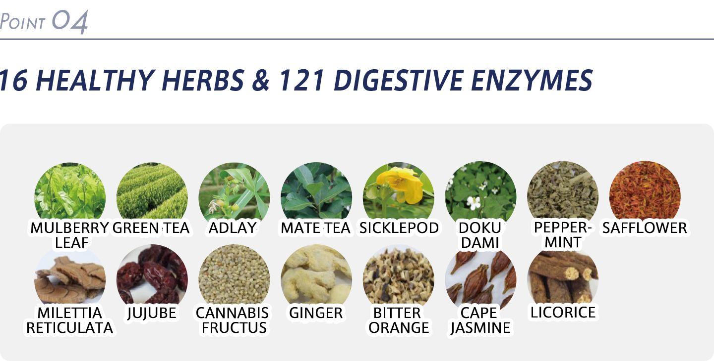 16 HEALTHY HERBS & 121 DIGESTIVE ENZYMES