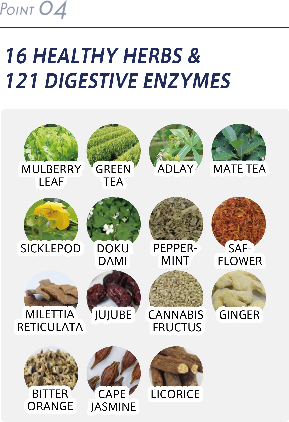 16 HEALTHY HERBS & 121 DIGESTIVE ENZYMES