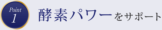 point1　酵素パワーをサポート