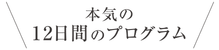 本気の12日間のプログラム