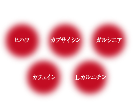 その他の燃焼サポート成分　ヒハツ／カプサイシン／ガルシニア／カフェイン／L-カルニチン