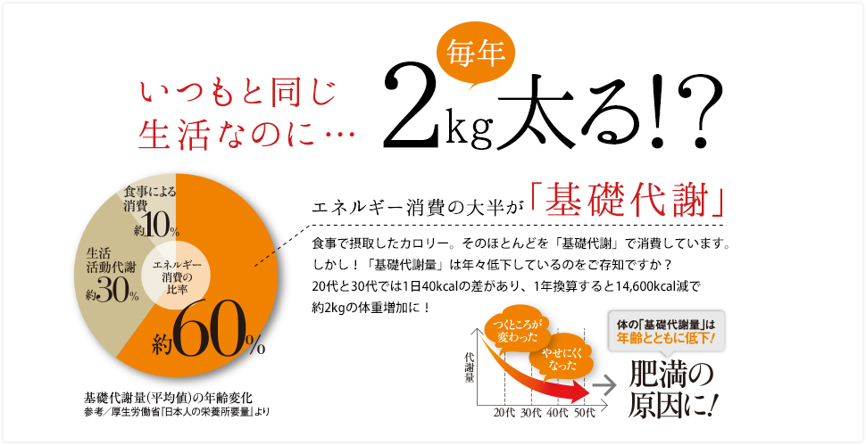 いつもと同じ生活なのに・・・毎年2kg太る！？エネルギー消費の大半が「基礎代謝」食事で摂取したカロリー。そのほとんどを「基礎代謝」で消費しています。しかし！「基礎代謝量」は年々低下しているのをご存知ですか？20代と30代では1日40kcalの差があり、1年換算すると14,600kcal減で約2kgの体重増加に！