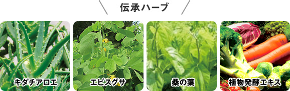 傳統草藥