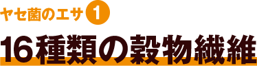 16種類の穀物繊維