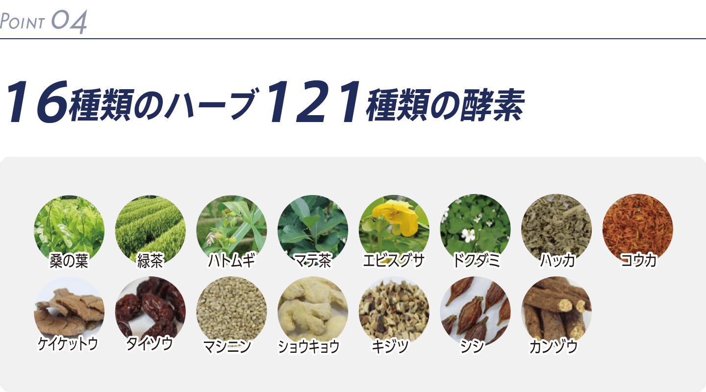 16種類のハーブ121種類の酵素