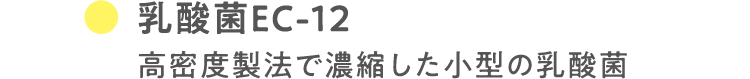 乳酸菌EC-12 高密度製法で濃縮した小型の乳酸菌