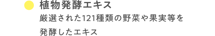植物発酵エキス 厳選された121種類の野菜や果実等を発酵したエキス